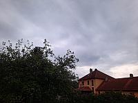 Olešná