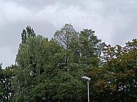 Olomouc-Pavlovičky