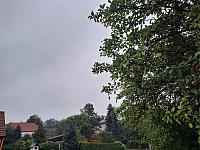 Olešná