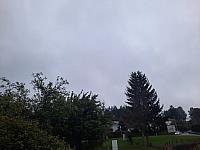 Olešná