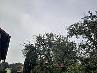 Olešná