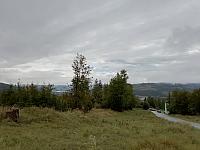 Čadca