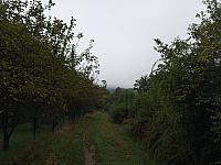 Kopřivnice