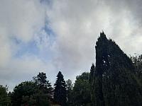 Olešná