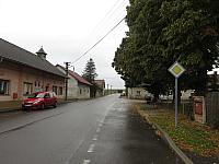Třibřichy
