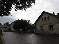 Třibřichy