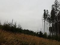 Čadca