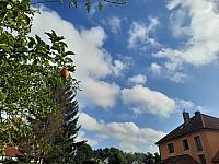 Olešná