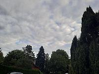 Olešná