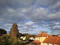 Olešná
