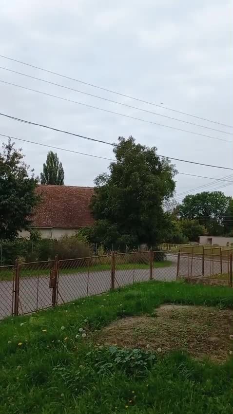 Třibřichy