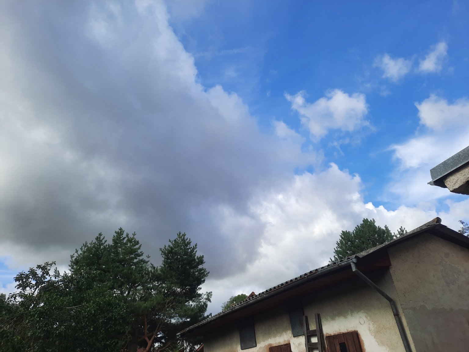 Olešná