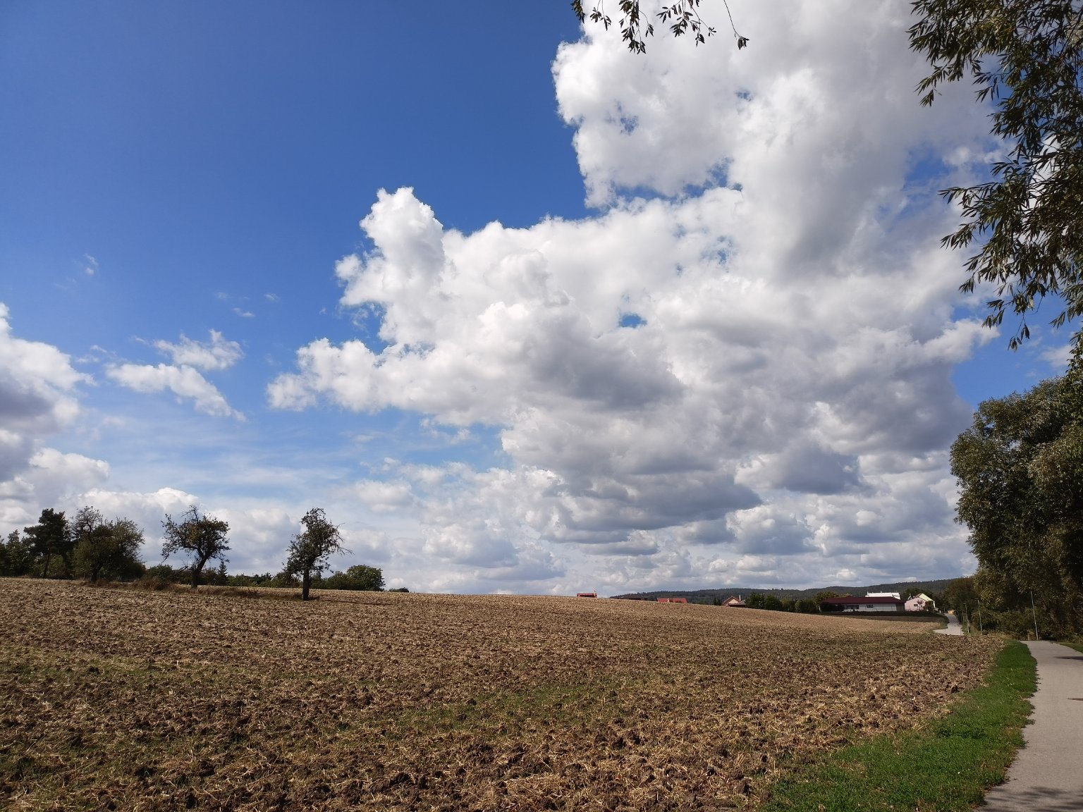 Rousínov