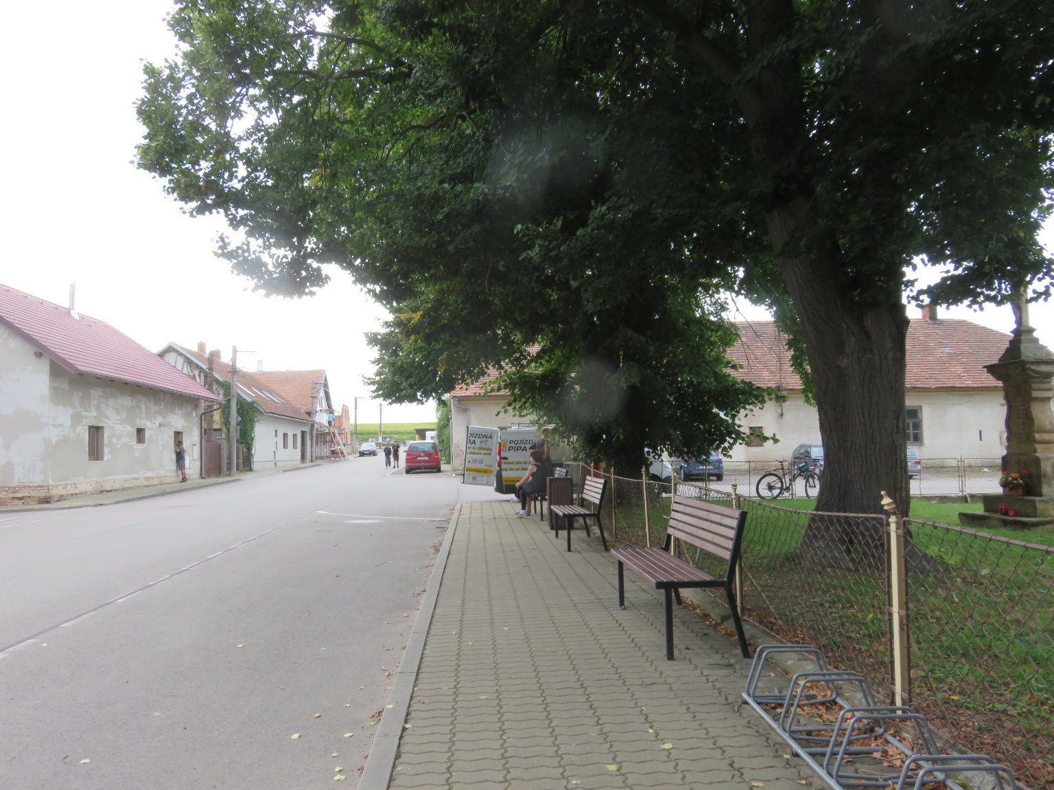 Třibřichy