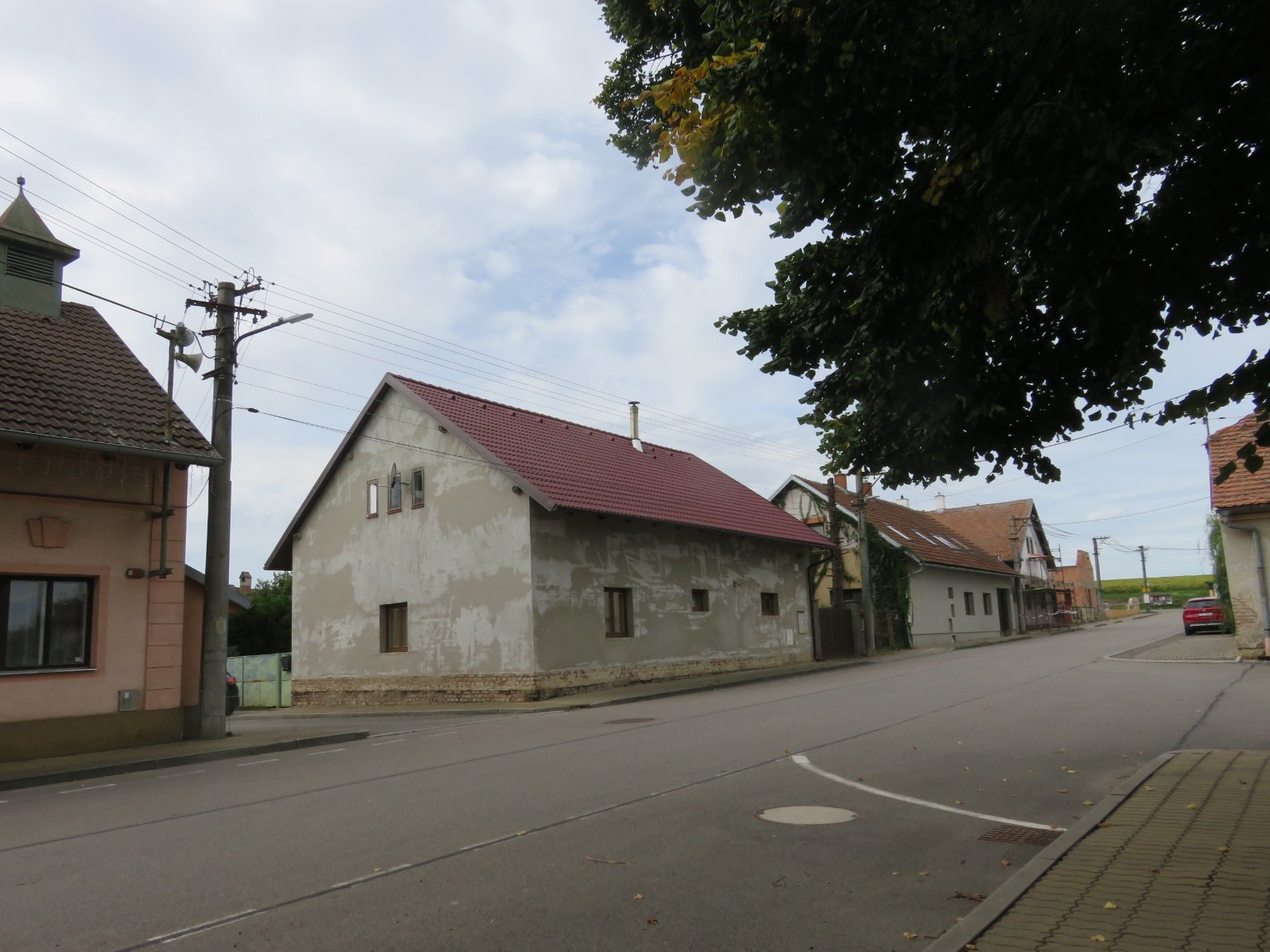 Třibřichy