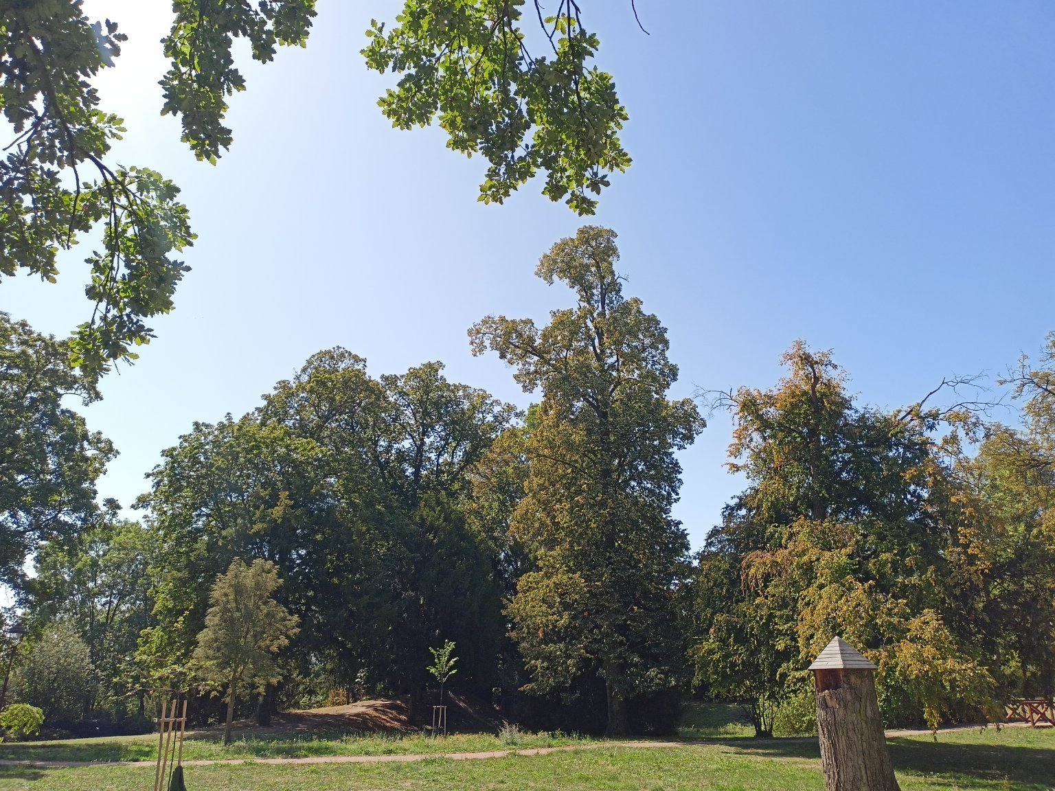 Habrovany