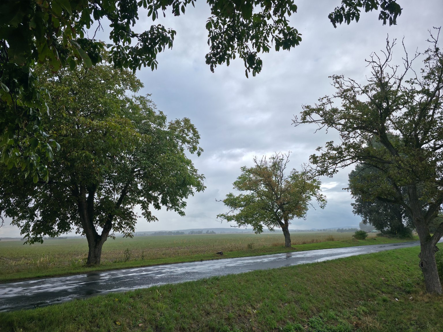 Odrovice