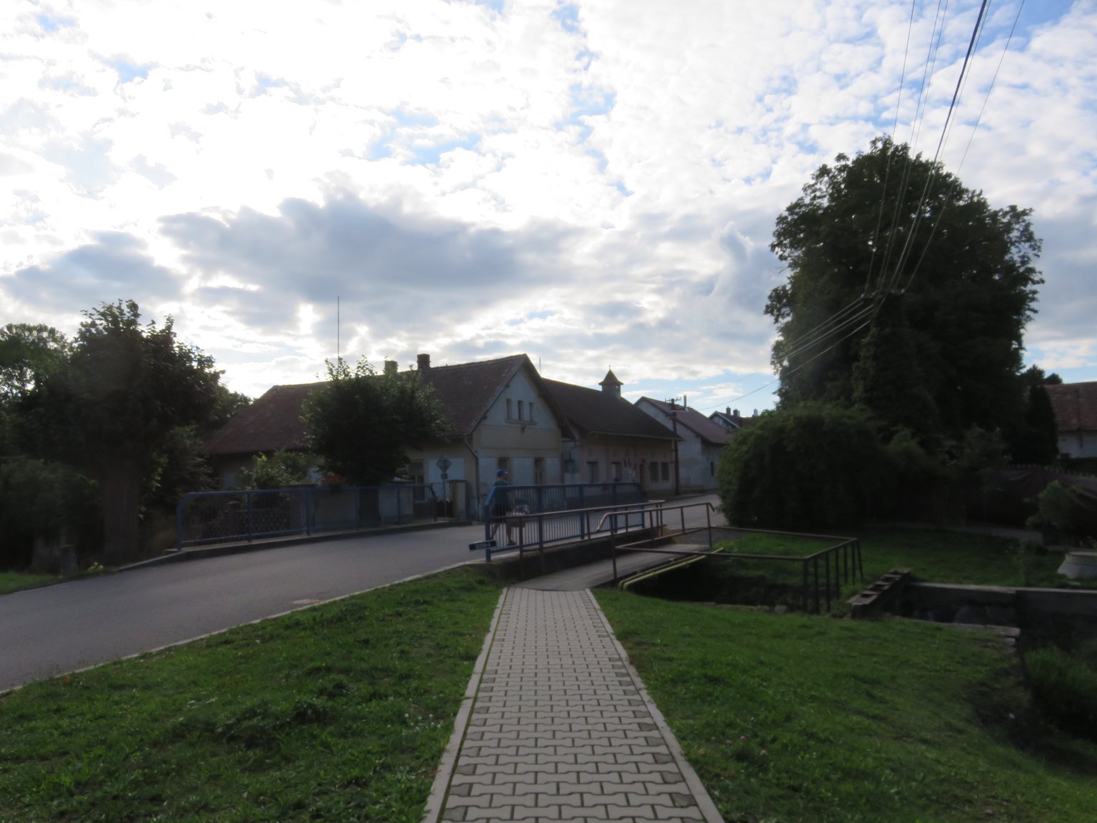 Třibřichy