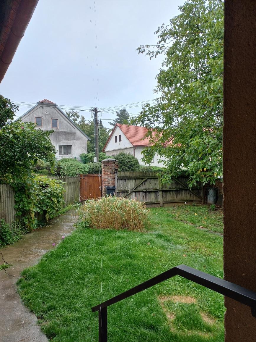 Třibřichy