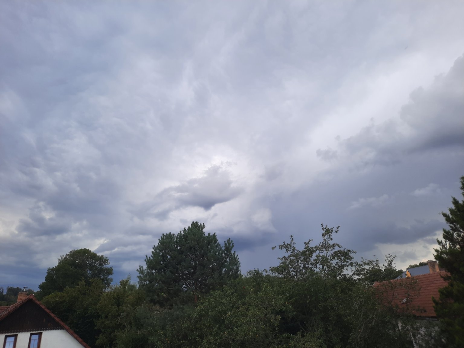 Olešná