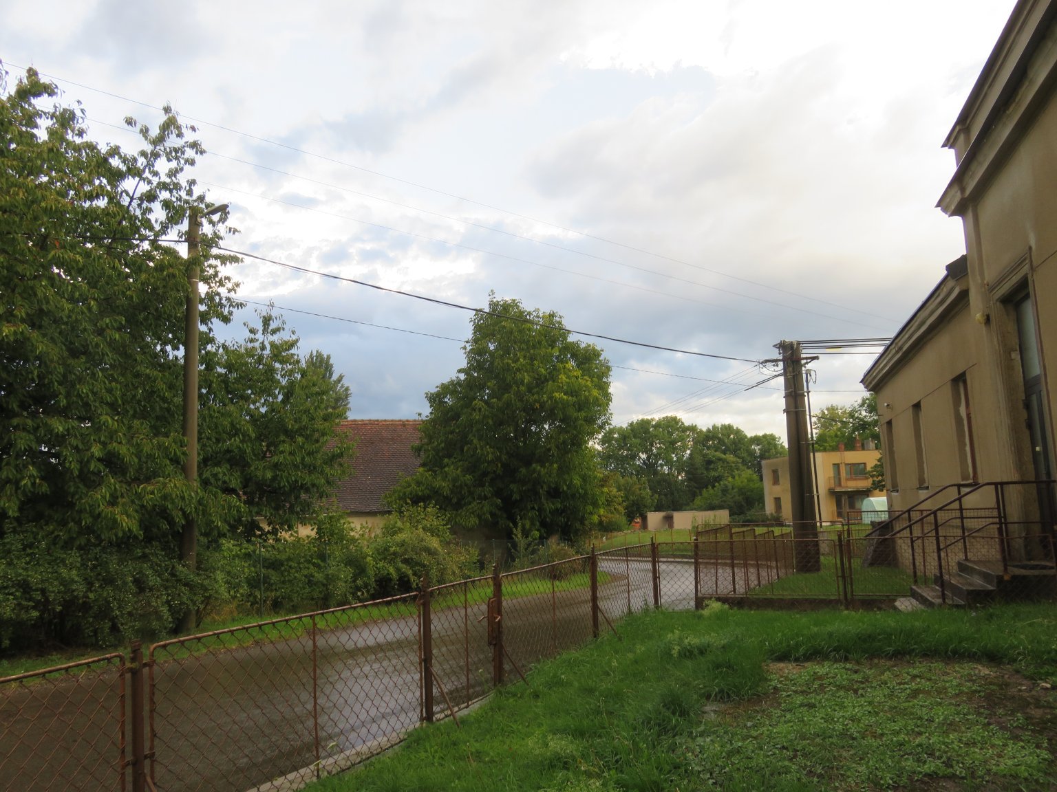 Třibřichy