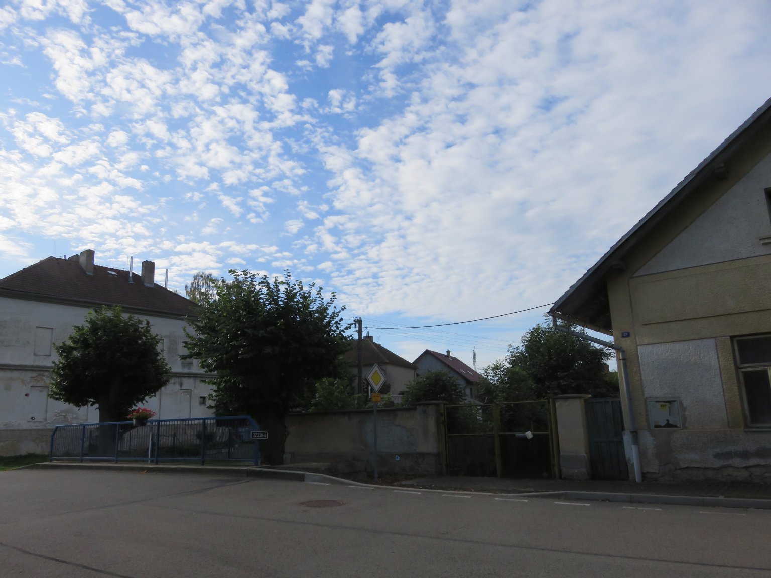 Třibřichy