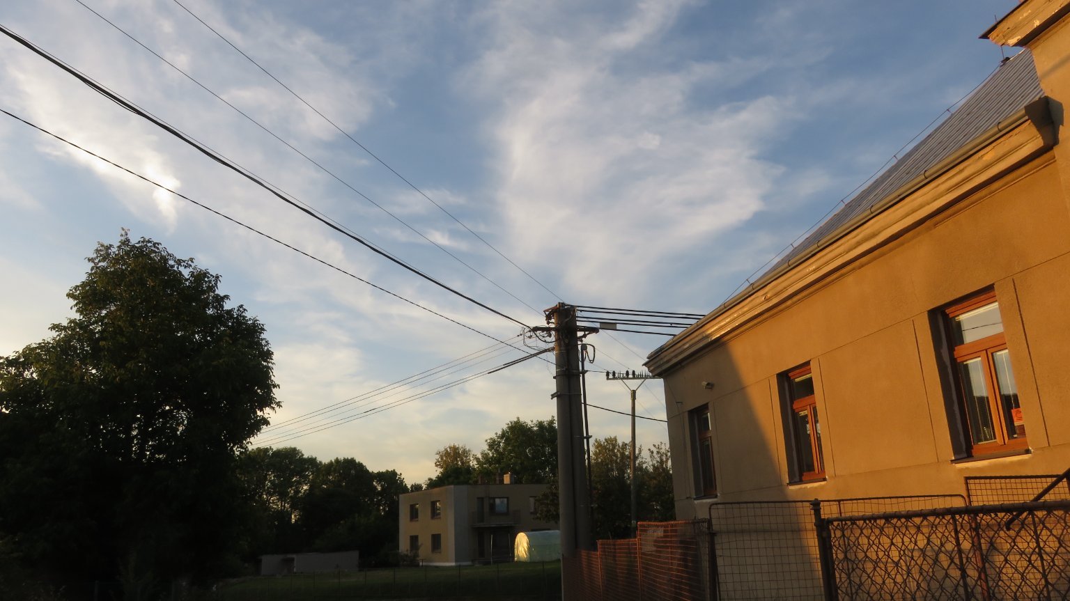 Třibřichy