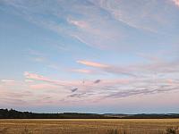 image_1031740.jpg