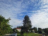 Olešná