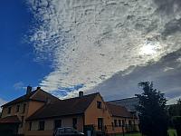 Olešná