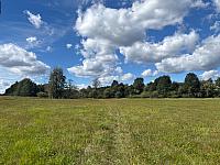 Hlinsko