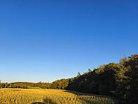 Lukovany