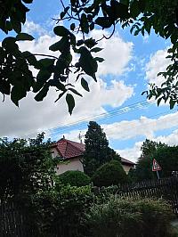 Fotografie