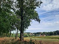 Chvojnov