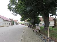 image_1032501.jpg
