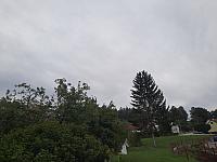 Olešná