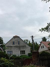 Třibřichy