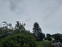 Fotografie