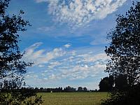 Fotografie