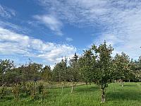 image_1033982.jpg