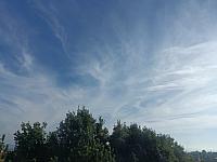 image_1034072.jpg
