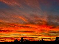 image_1034708.jpg