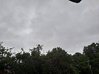 Fotografie