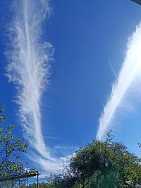 image_1035075.jpg