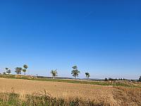 Lukovany