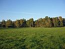 Borkovice