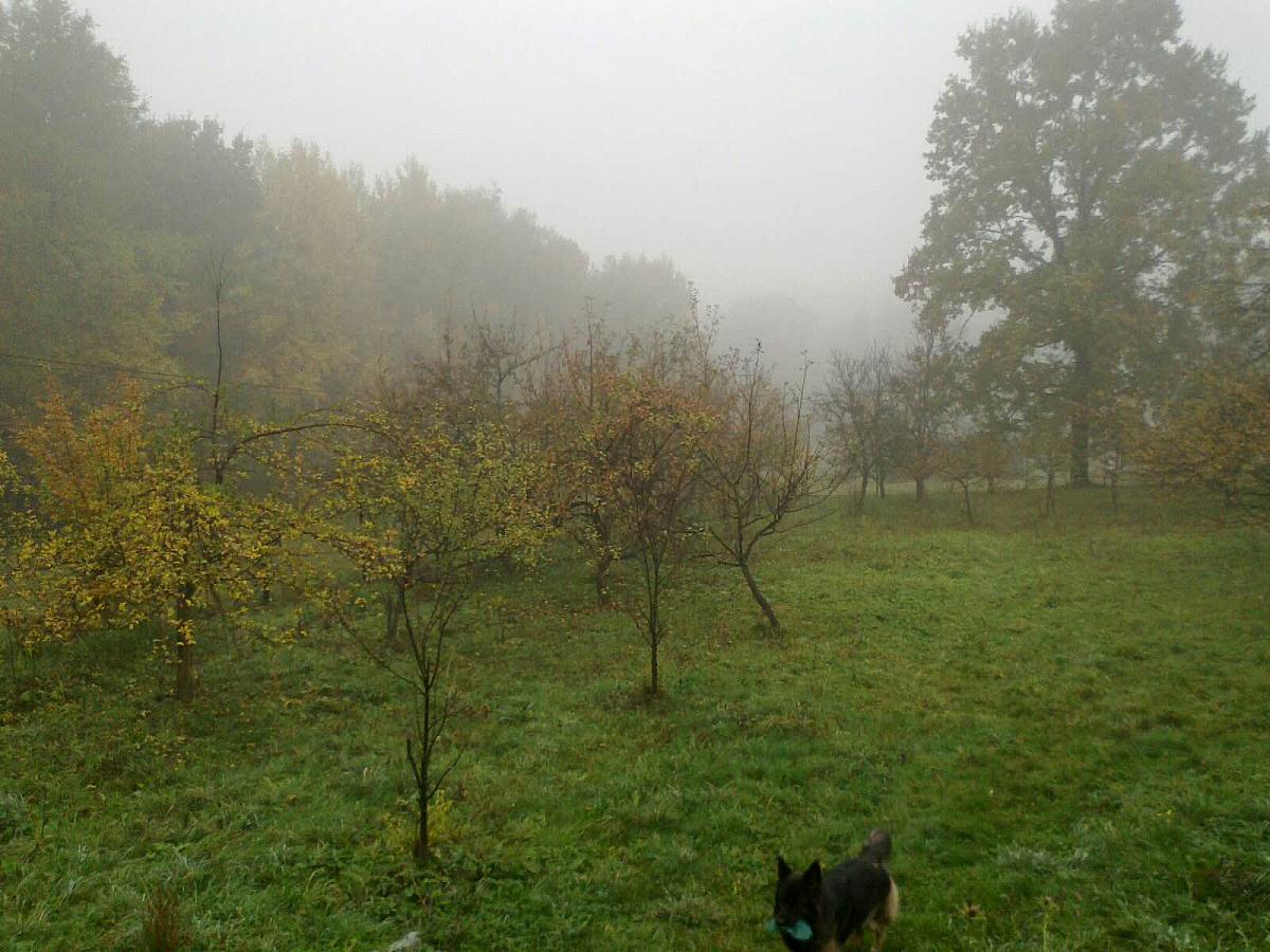Bruzovice