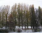 Brno Bosonohy