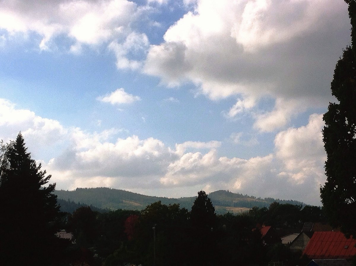 Město Albrechtice