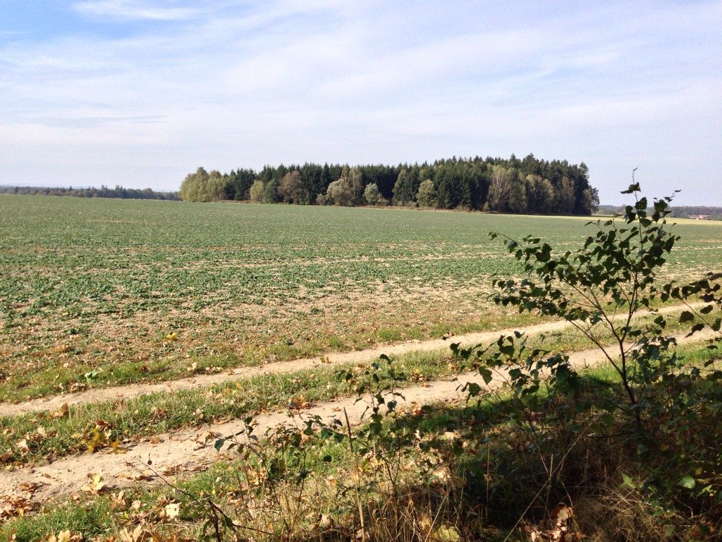 Ostrý Kámen